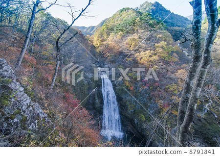 秋天Akiho Otori 8791841