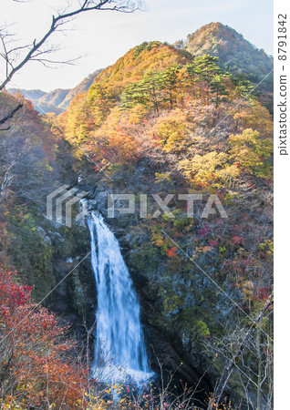 Autumn Akiho Otori 8791842