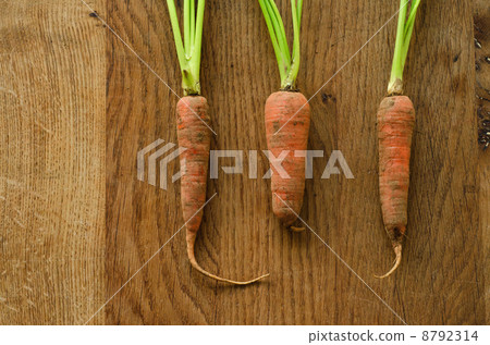 胡蘿蔔泥 8792314