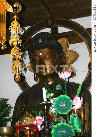 Amagasa Nyoritsu Seitama 8792330