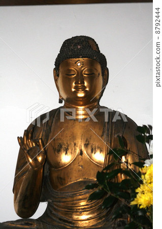 Amitabha Nyorai Seita Amitabha Nyorai Seita 8792444