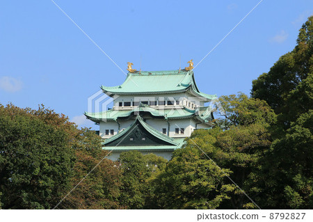 名古屋城堡秋葉在秋天聳立 名古屋城堡秋葉在秋天聳立 8792827