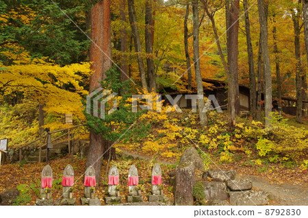 Hida no Sato Autumn leaves Hida no Sato Autumn leaves 8792830