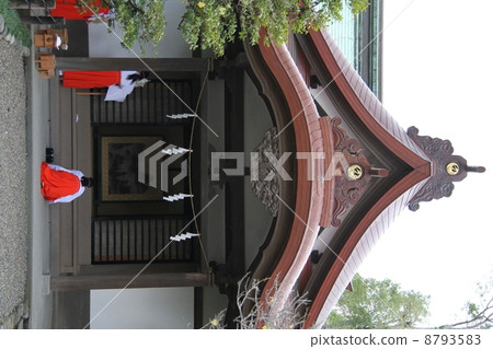 鶴岡八幡宮神社 8793583