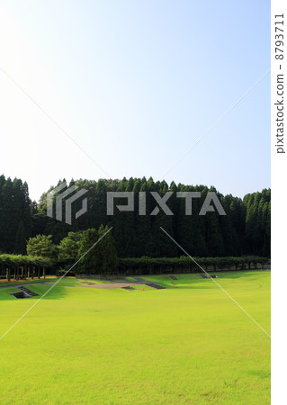 Ishikawa Prefecture Forest Park (Plant for greening) Ishikawa Prefecture Forest Park (Plant for greening) 8793711