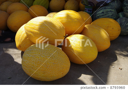 烏茲別克斯坦Hiva Bukhara 8793960