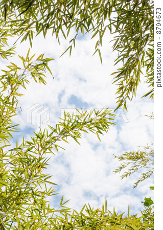 葉子 葉子 8794673