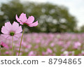 It is in front of the cosmos 8794865