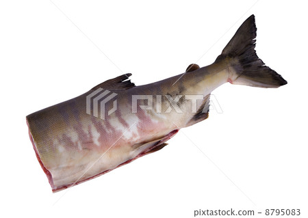 siberian salmon 8795083