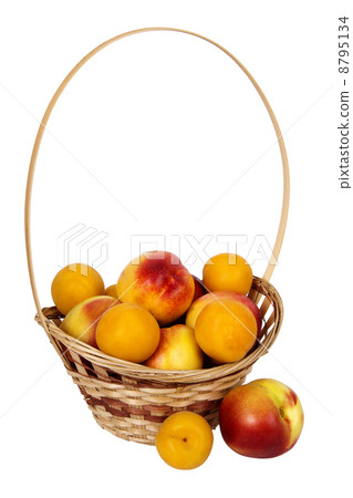 nectarines and apricots in basket nectarines and apricots in basket 8795134