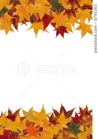 Framework from maple leaves Framework from maple leaves 8795163