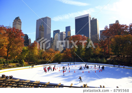中央公園的溜冰場 8795568