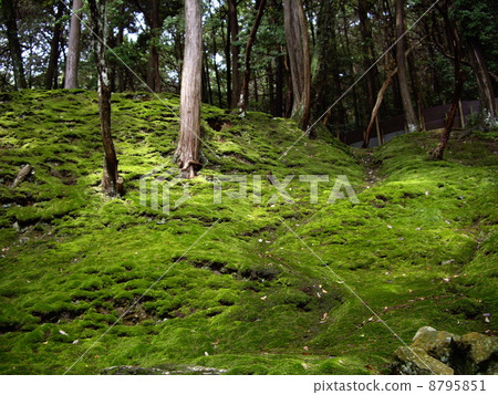 Mossaji (Saikoji Temple) 8795851