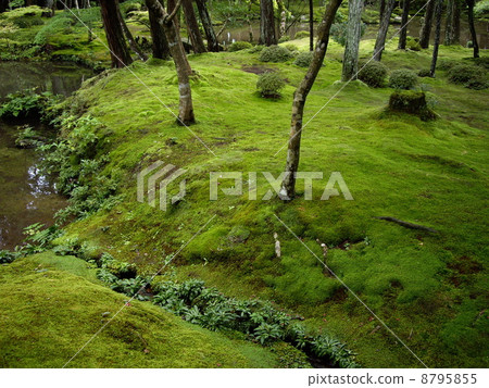 Mossaji (Saikoji Temple) 8795855