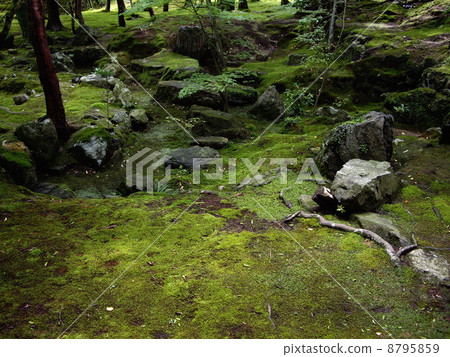Mossaji (Saikoji Temple) 8795859