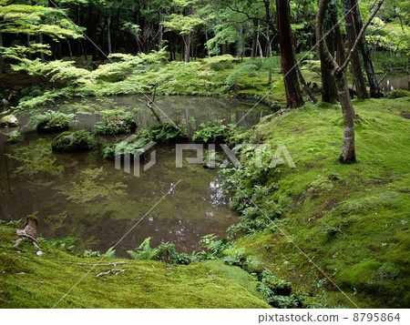 Mossaji (Saikoji Temple) 8795864
