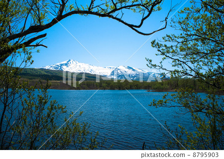 Spring Chokaiyama Spring Chokaiyama 8795903