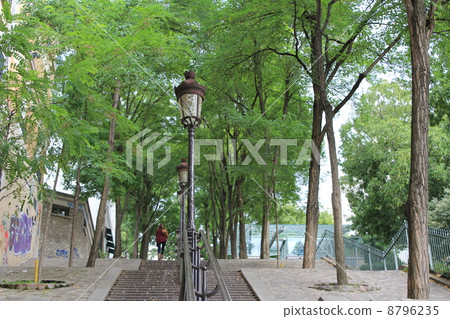 蒙馬特小山和街道樹巴黎的台階 8796235
