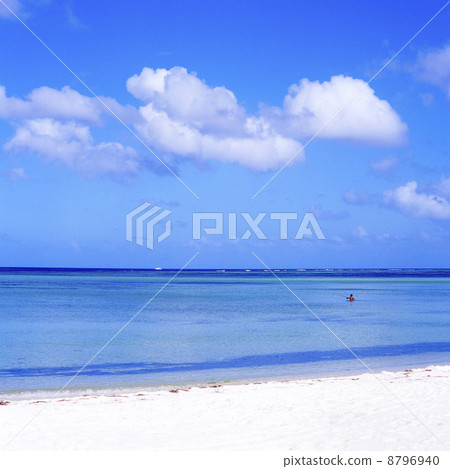 海 海 8796940