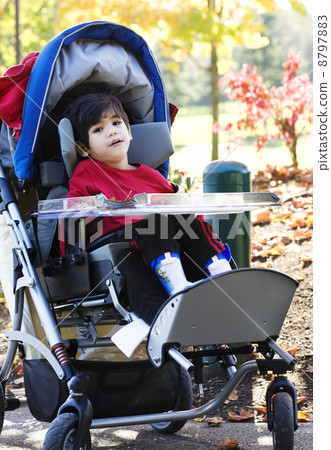 Disabled boy in medical stroller outdoors 8797883