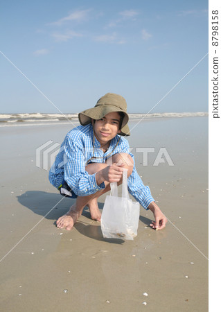 Looking for seashells on beach Looking for seashells on beach 8798158