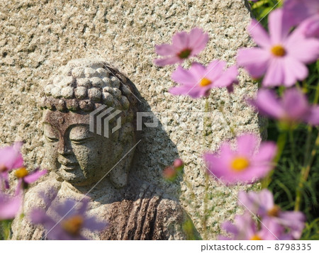 文寺的宇宙 文寺的宇宙 8798335