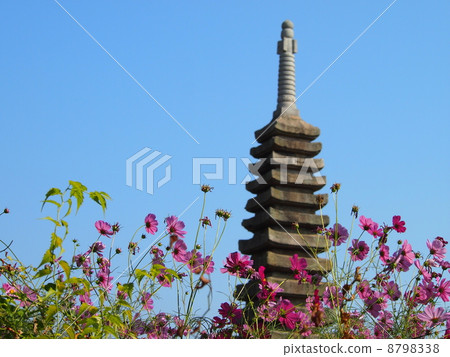 Cosmos of Wenji Temple 8798338