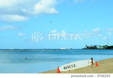 夏威夷的假期 8798383