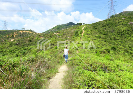 Hiking trail in mountains 8798686