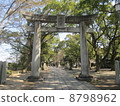 Shimanto temple 8798962