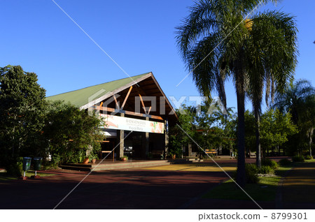 88783 Iguazu Falls 88783 Iguazu Falls 8799301