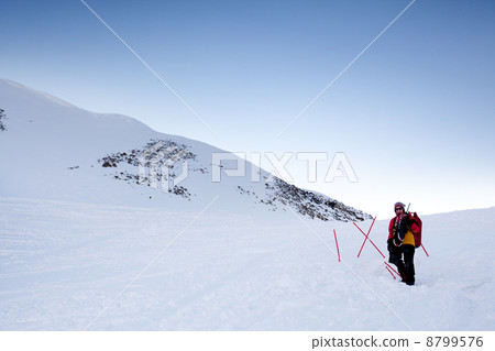 Female Adventurer 8799576