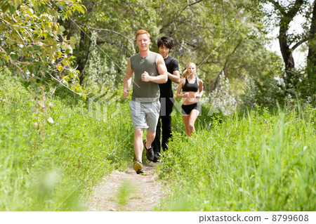 Friends jogging in the forest Friends jogging in the forest 8799608
