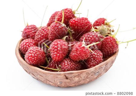 fresh raspberries fresh raspberries 8802098