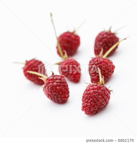 fresh raspberries fresh raspberries 8802170