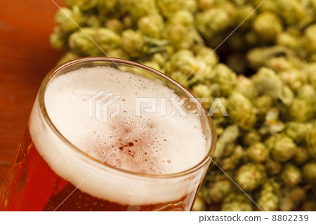 green hops 8802239