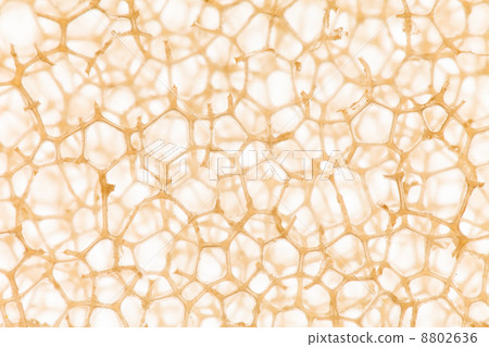 cell background cell background 8802636