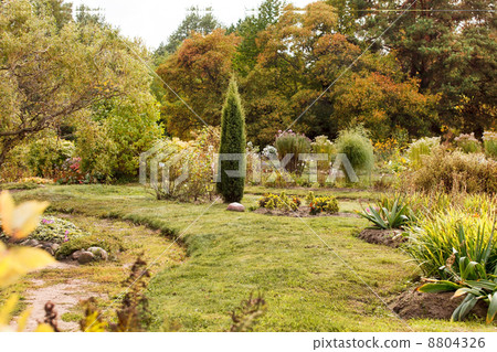 autumn garden 8804326