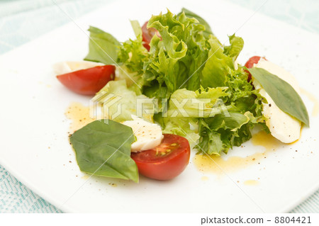 salad with mozzarella, tomatoes and basil 8804421