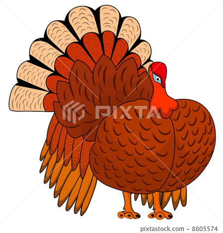 Thanksgiving Day Turkey 8805574