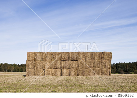 Bale of Haystack Bale of Haystack 8809192