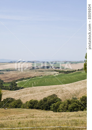 Tuscan Landscape 8809804