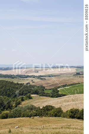 Tuscan Landscape 8809816