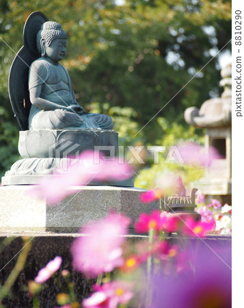 Renkuji的菩薩 8810290