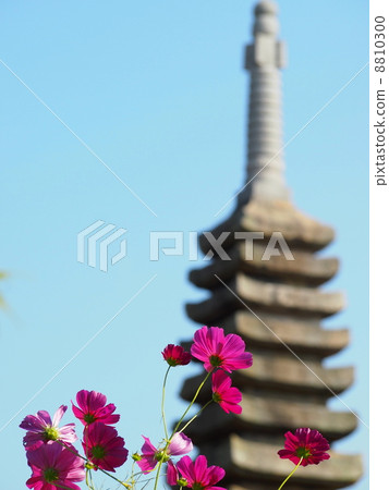 Kurokuji的宇宙和十三座重石塔 Kurokuji的宇宙和十三座重石塔 8810300