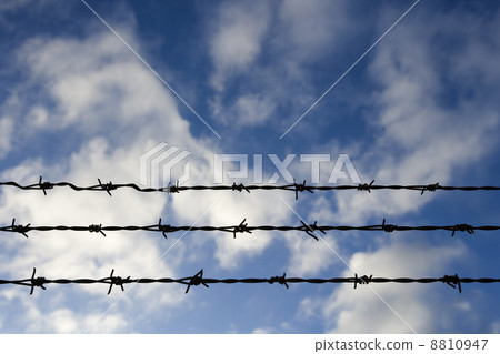 Barbed wire 8810947