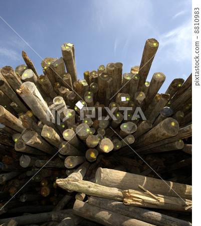 Timber 8810983