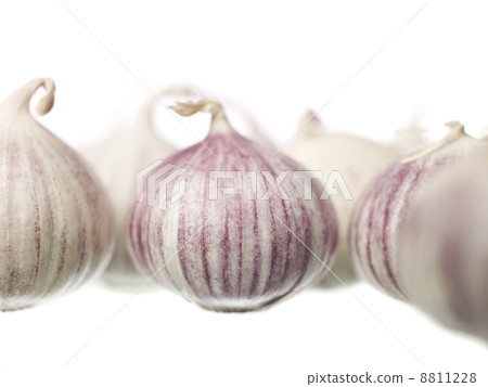 Garlic 8811228