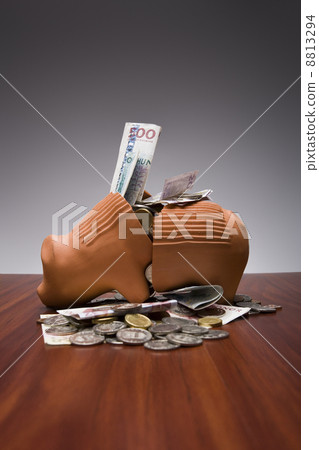 Broken Piggy Bank 8813294