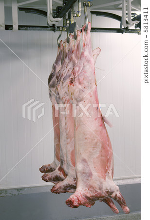 Hanging meat Hanging meat 8813411